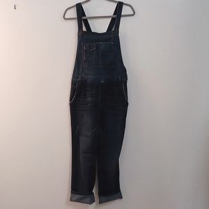 Free People Brady Distressed Overalls